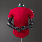 Maillot 2012 Portugal Domicile