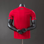 Maillot 2010 Portugal Domicile
