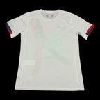 Maillot 24/25 PSG Extérieur