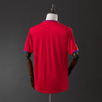 Maillot 2010 Espagne Domicile Retro