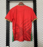 Maillot Cameroun Spécial 25/26
