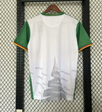 Maillot Cameroun Spécial 25/26