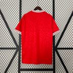Maillot 2024 Danemark Domicile